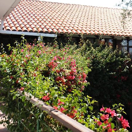 Hostal Viejo Olivo Sucre Dış mekan fotoğraf