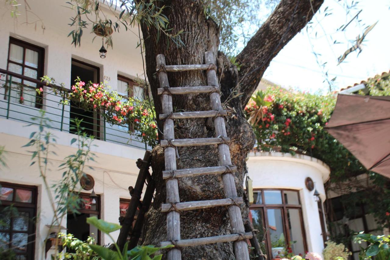 Hostal Viejo Olivo Sucre Dış mekan fotoğraf